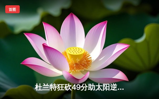 杜兰特狂砍49分助太阳逆转掘金，布克伤退埋隐患